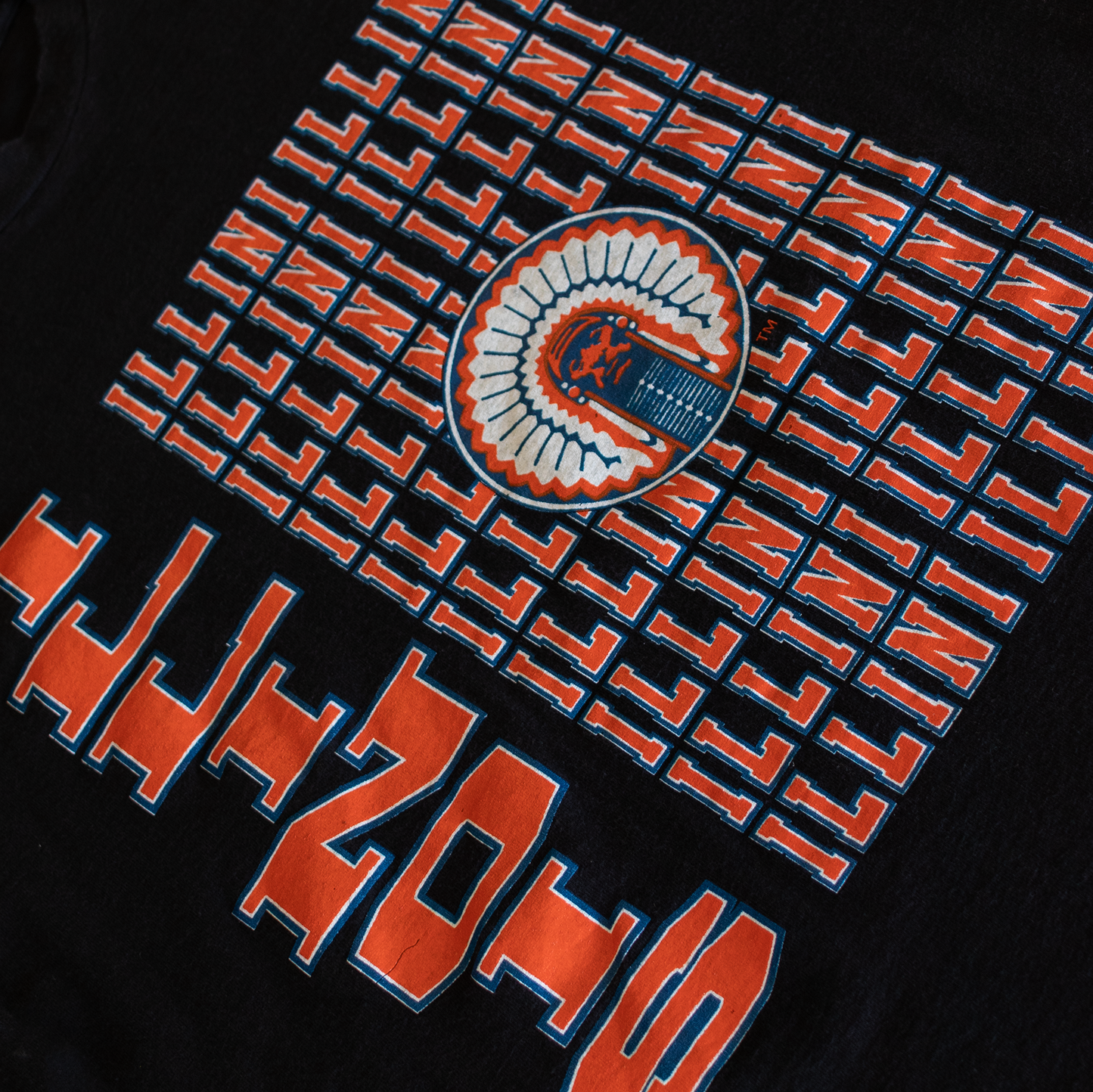 Vintage University of Illinois Chief Illiniwek Graphic T-Shirt (L)