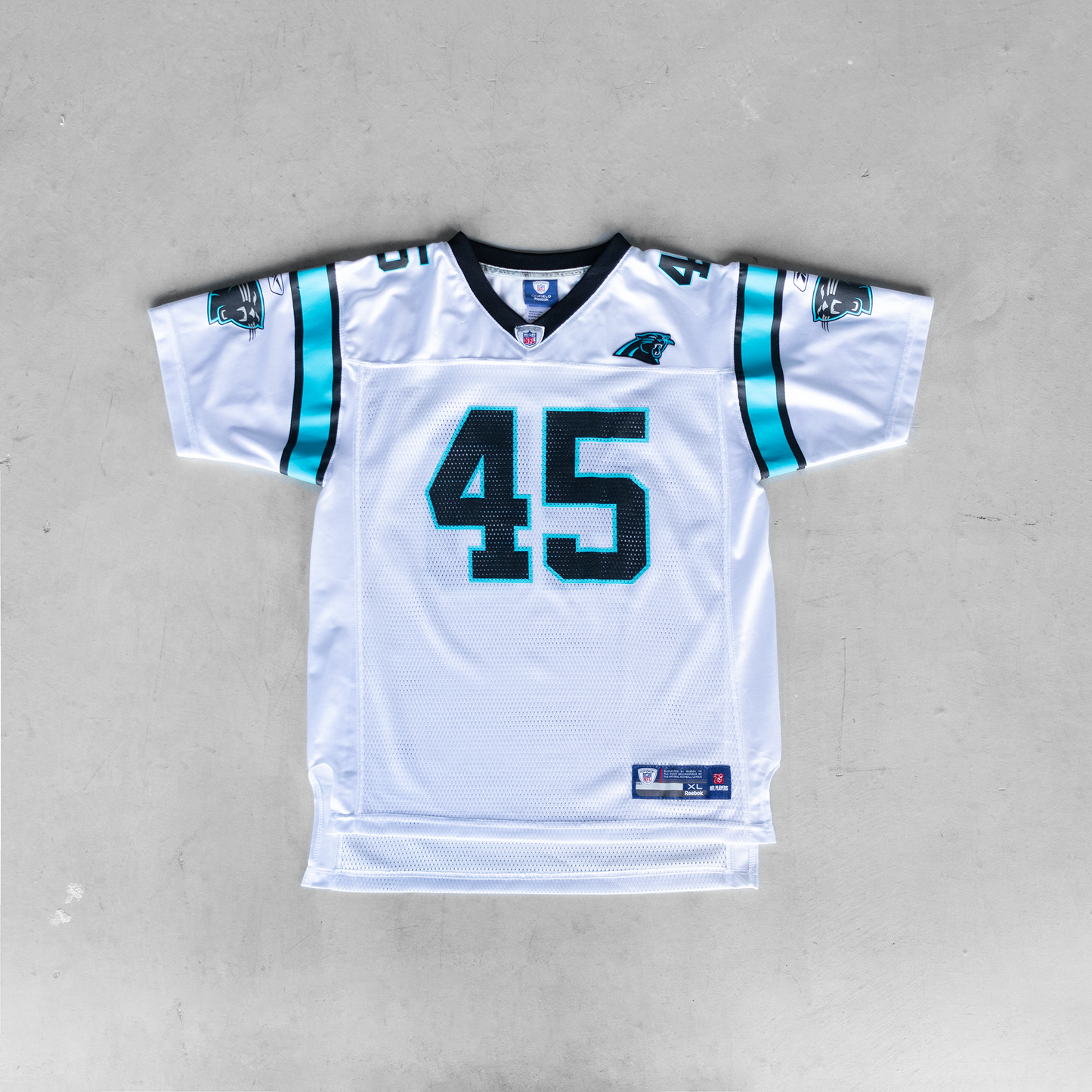 Vintage NFL Carolina Panthers Brad Hoover #45 Youth Football Jersey (XL)