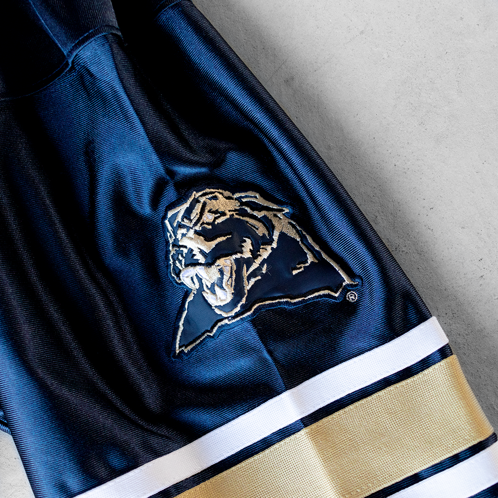 Vintage University of Pittsburgh Panthers #3 Football Jersey (XL)