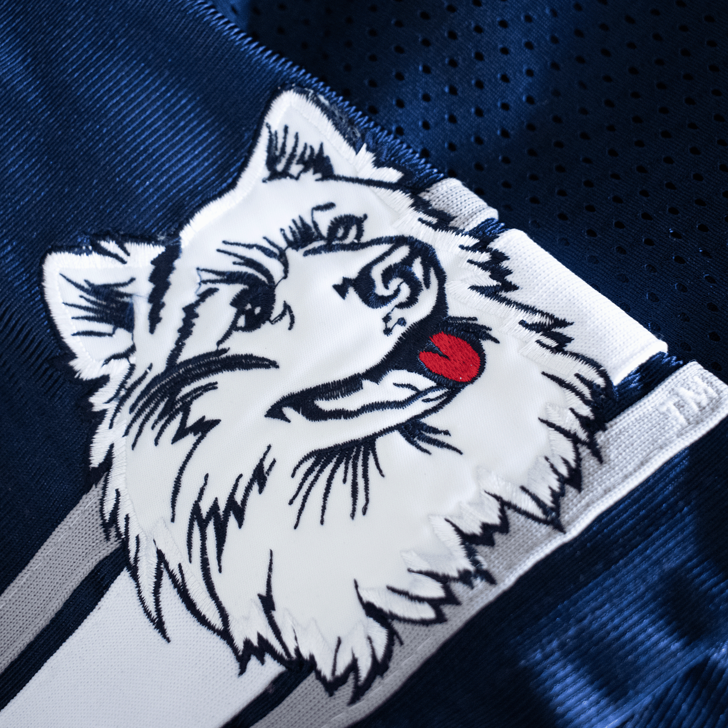 Vintage UCONN Huskies #21 Football Jersey (L)