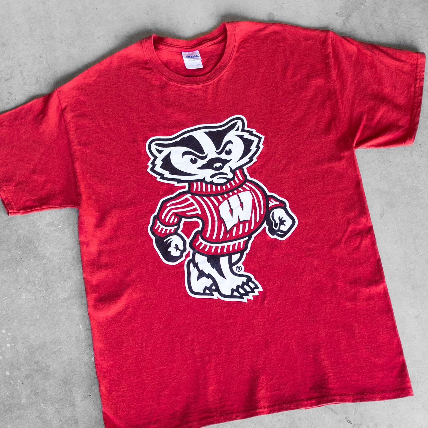 Vintage University Of Wisconsin Badgers Mascot Graphic T-Shirt (L)