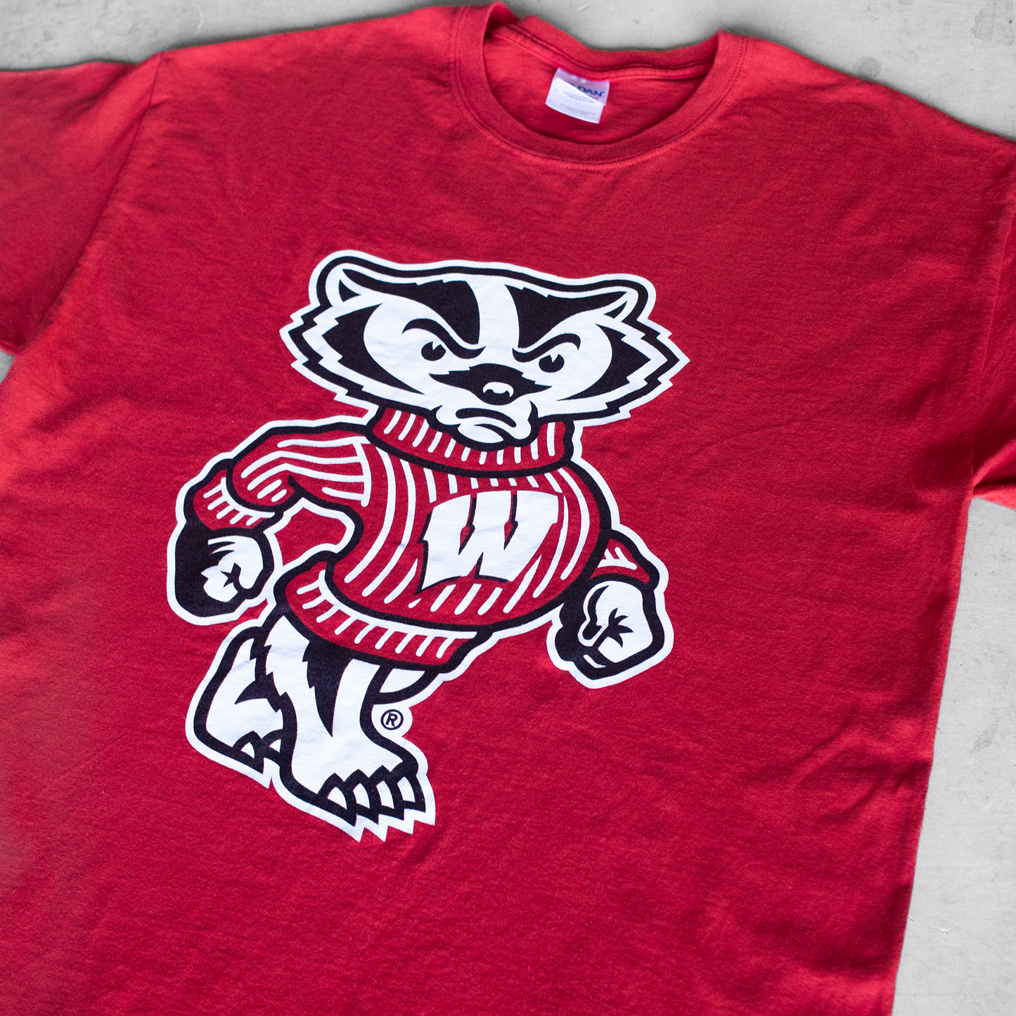 Vintage University Of Wisconsin Badgers Mascot Graphic T-Shirt (L)