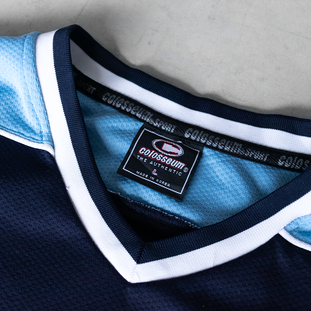 Vintage UNC Tar Heels Hockey Jersey (L)
